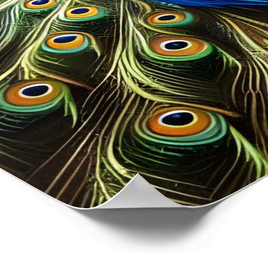 Poster Peacock Dans La Nature (Coin)