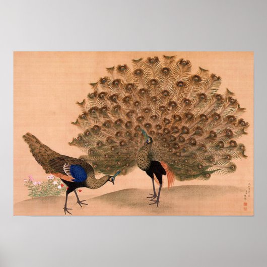 Poster Peacock d'Asie vintage (Devant)