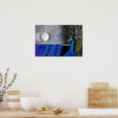 Poster Peacock Dreams par Gregory Gallo (Cuisine)