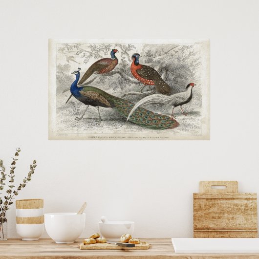Poster Peacock et faisans Antique Lithographie (Cuisine)