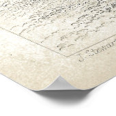 Poster Peacock et faisans Antique Lithographie (Coin)