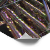 Poster Peacock Feathers -36x24 -plus petit disponi (Coin)