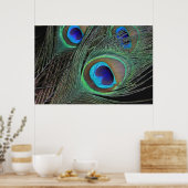Poster Peacock Feathers -36x24 -plus petit disponi (Cuisine)