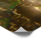 Poster Peacock Feathers III (Female) Subtil Nature Design (Coin)