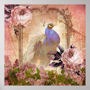Poster Peacock Floral Victorien vintage