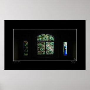 Poster Peacock in a Window