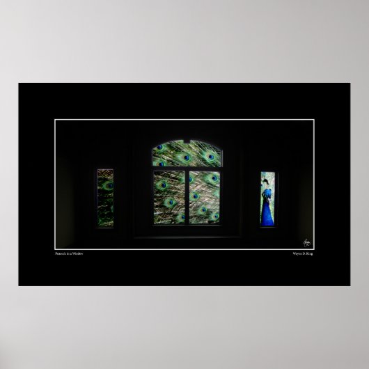 Poster Peacock in a Window (Devant)