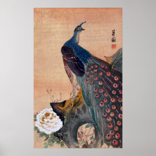 Poster Peacock japonais n° 1