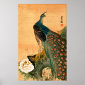 Poster Peacock japonais n° 2 (Devant)