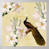 Poster Peacock Lilies (Devant)