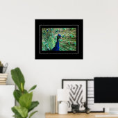 Poster-Peacock Poster (Thuiskantoor)