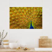 Poster Peacock, Silver Falls, Kauai, Hawaii (Cuisine)