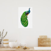 Poster Peacock Small (Cuisine)