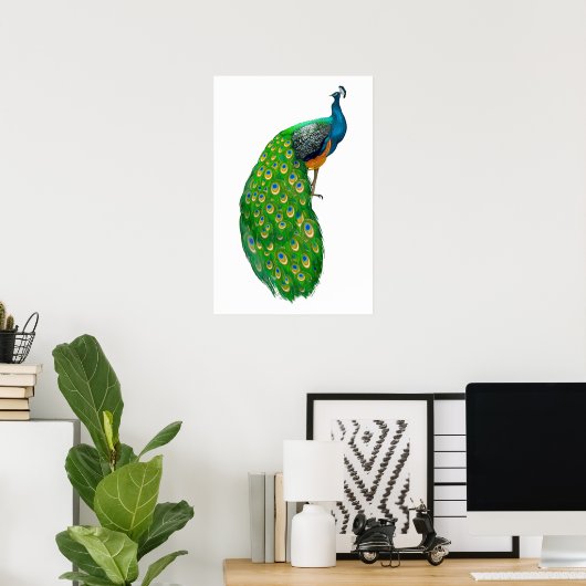 Poster Peacock Small (Bureau à domicile)