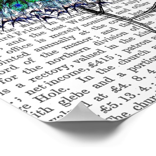 Poster Peacock sur la chaise (Coin)