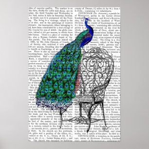 Poster Peacock sur la chaise