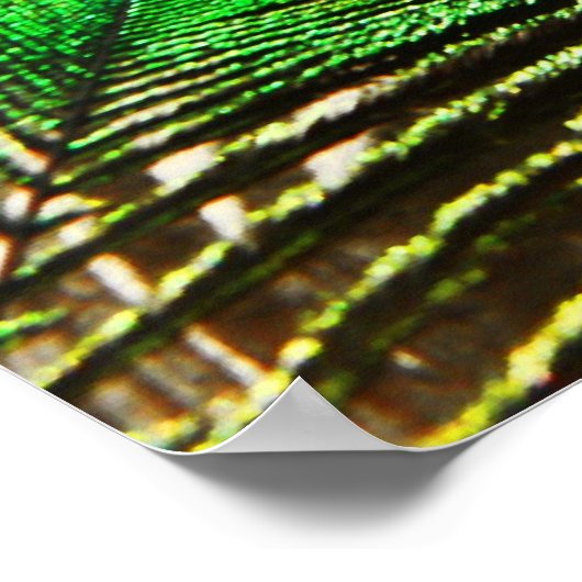 Poster peacock sur le mur (Coin)