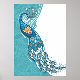 Poster Peacock sur l'illustration Turquoise