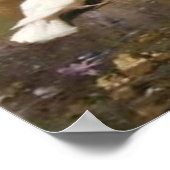 Poster Peacock vintage (Coin)