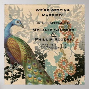 Poster Peacock vintage