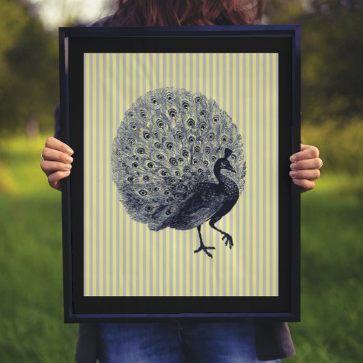 Poster Peacock vintage sur bandes minces