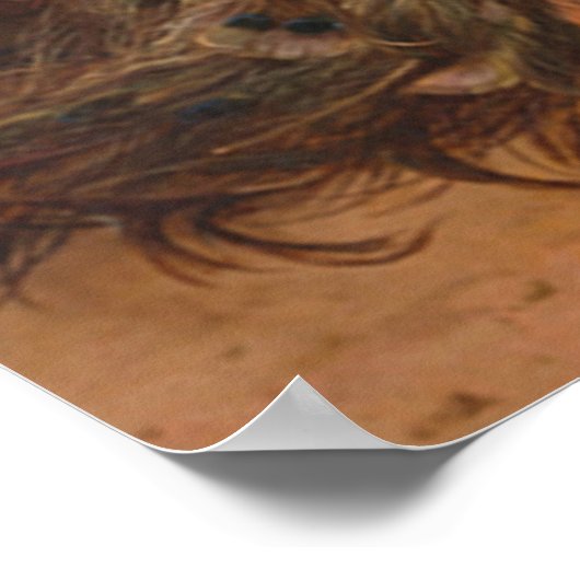 Poster Peacocks (Coin)