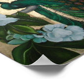 Poster Peacocks dans l'arbre Magnolia (Coin)