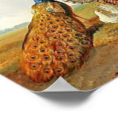 Poster Peacocks et poulets (Coin)