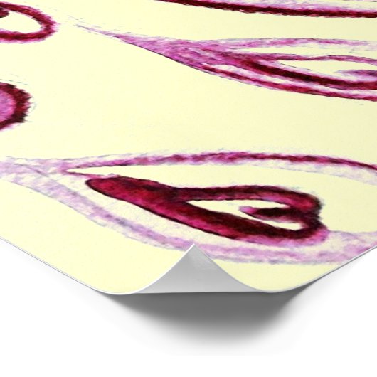 Poster PEACOCKS IN LOVE, Red and Cream (Coin)