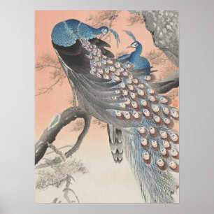 Poster Peacocs Japonais Sur Arbre Par Ohara Koson Art
