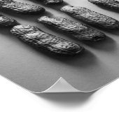 Poster Peanuts Still Life Fine Art Photographie (Coin)