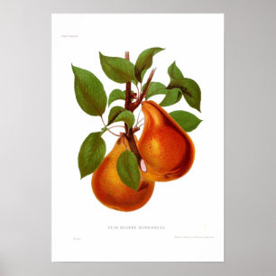 Poster Pear Beurre Durondeau