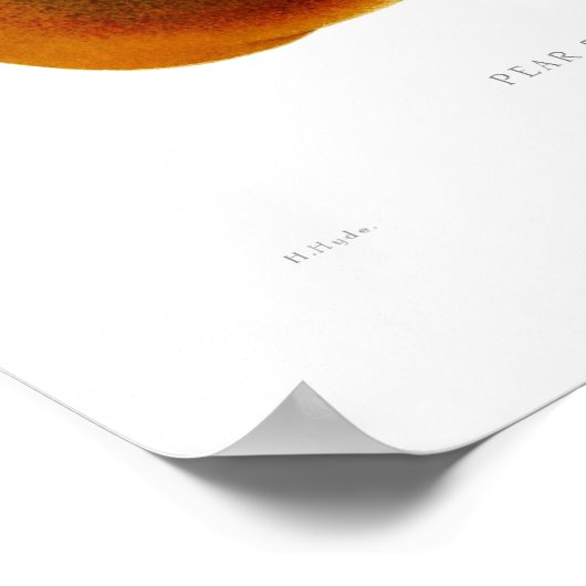 Poster Pear Doyenne du Comice (Coin)