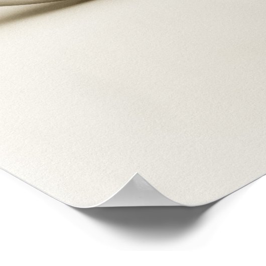 Poster Pearl Nautilus Seashell (Coin)