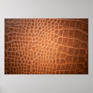 Poster peau Brown texture cuir fond, abstraite