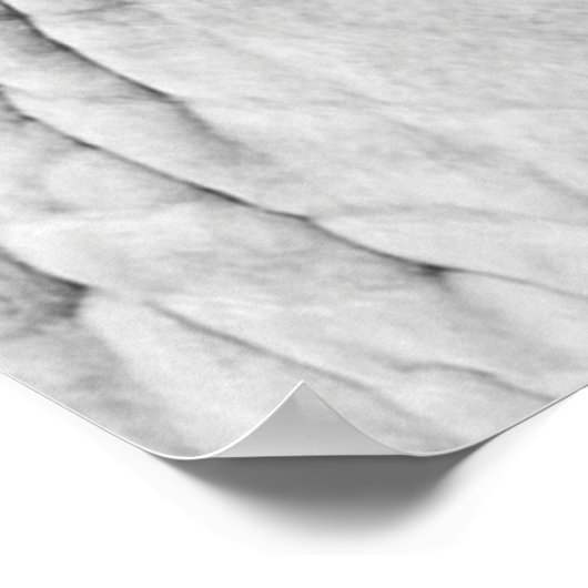 Poster Peau d'animal éléphant (Coin)