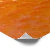 Poster Peau de sébaste (Coin)