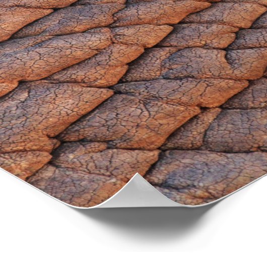 Poster Peau d'éléphant (Coin)