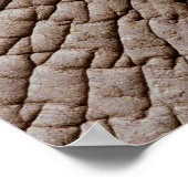 Poster peau d'éléphant africain (Loxodonta africana) (Coin)