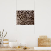 Poster peau d'éléphant africain (Loxodonta africana) (Cuisine)