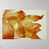 Poster Peau d'oignon (Devant)