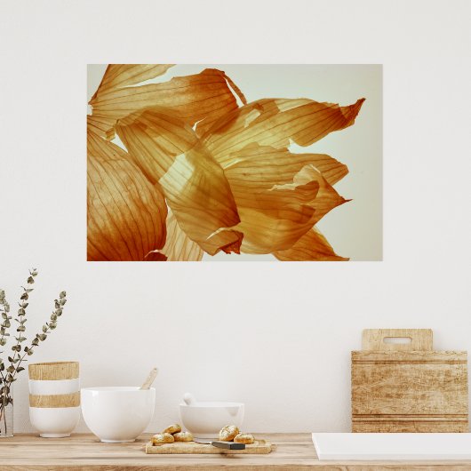 Poster Peau d'oignon (Cuisine)