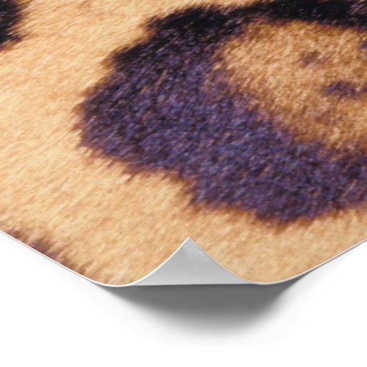 Poster Peau léopard (Coin)