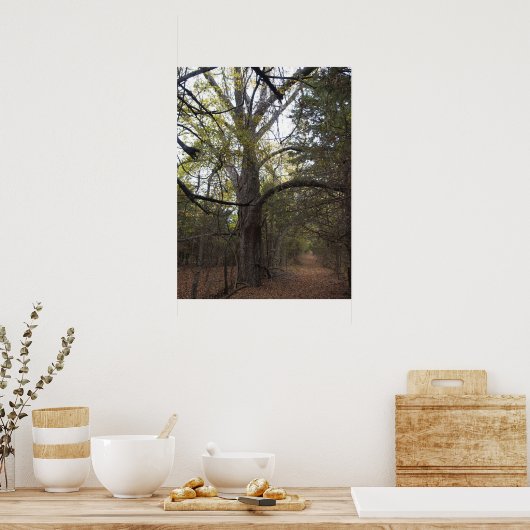 Poster Pecan Gateway (Cuisine)