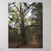 Poster Pecan Gateway (Devant)