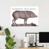 Poster Peccaire à collier - Javelina - Cochon de musc - T (Bureau à domicile)
