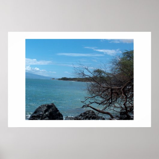 Poster Pêche à Hawaï (Devant)