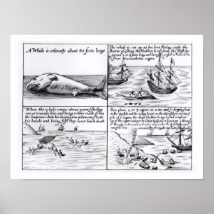 Poster Pêche à la baleine chez Spitzbergen en 1611