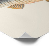 Poster Pêche à la carpe peinture à l'eau douce (Coin)