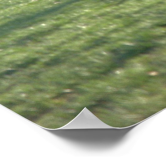 Poster Pêche à la mouche à l'étang (Coin)